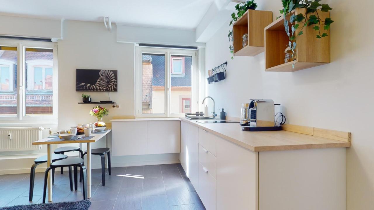 Privative 43m2 - Les Tailleurs A 120m De La Cathedrale * Straatsburg