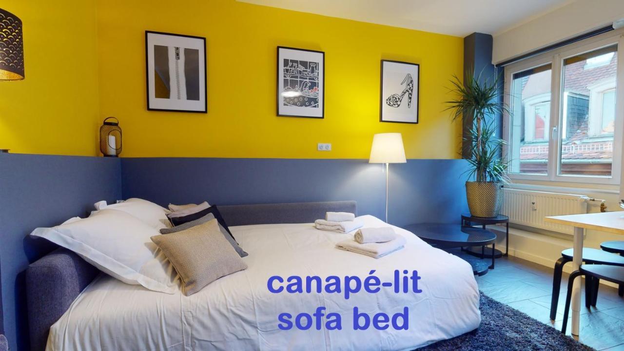 Privative 43m2 - Les Tailleurs A 120m De La Cathedrale Appartement Straatsburg