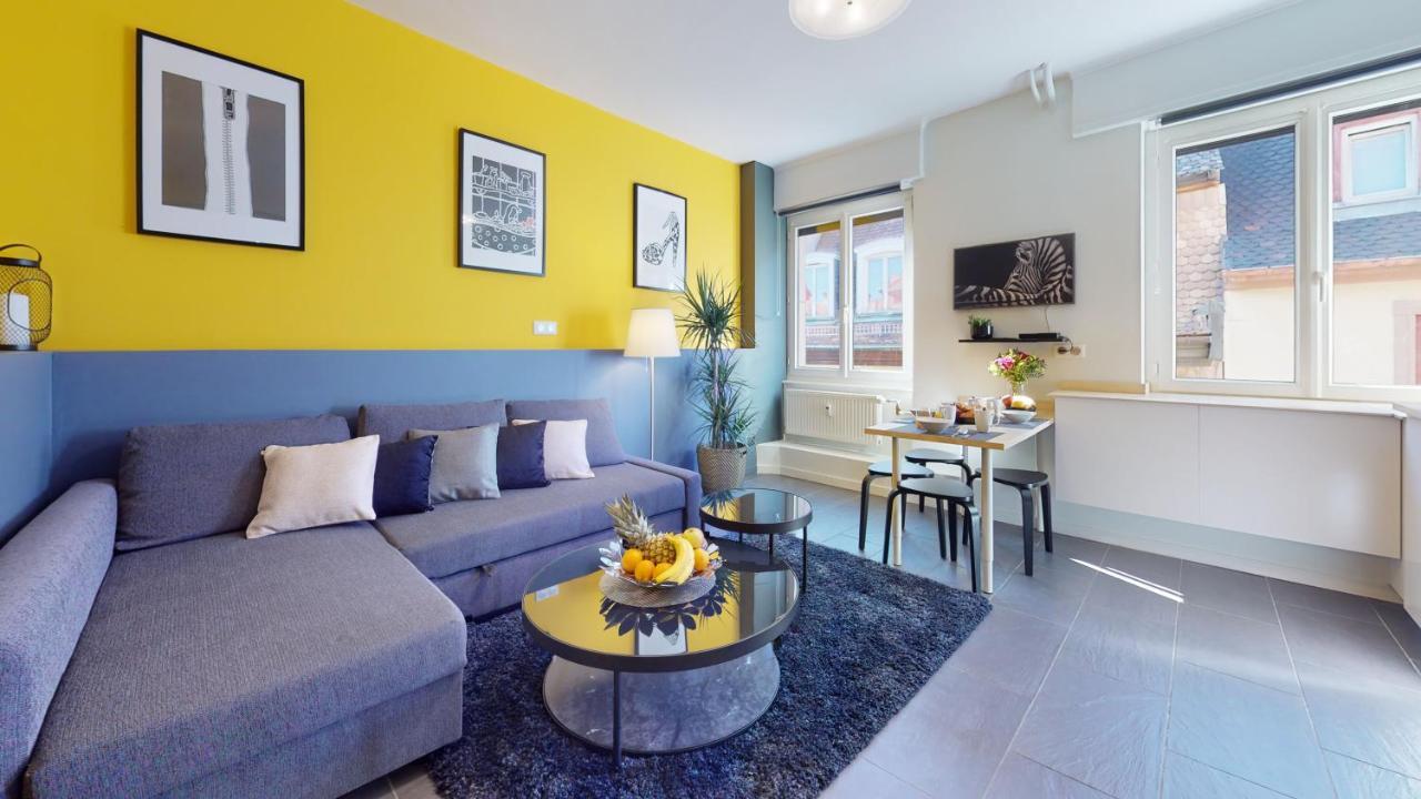 Privative 43m2 - Les Tailleurs A 120m De La Cathedrale Appartamento *